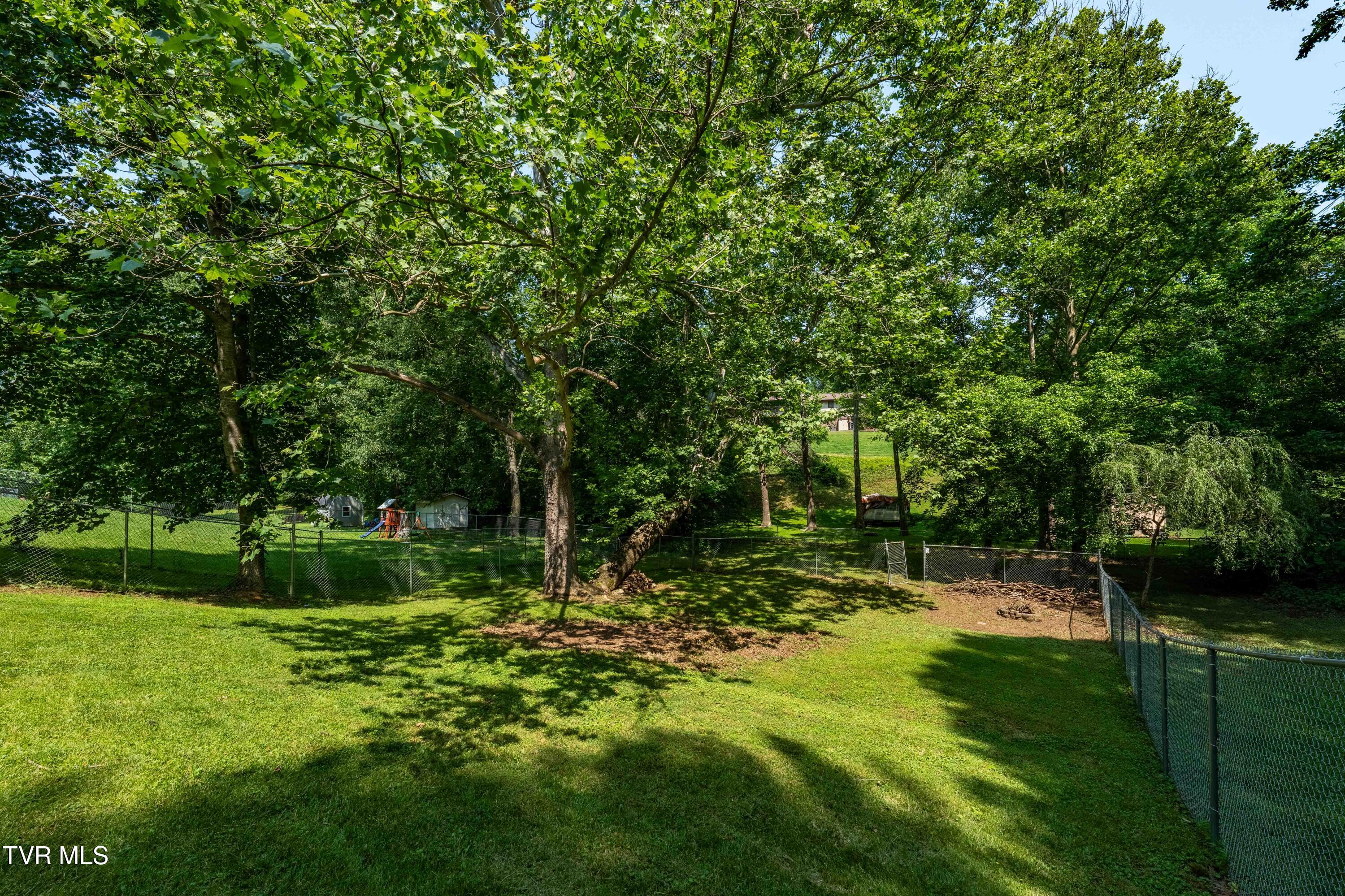 193 River Road Bluff City, TN 37618 - Photo 51 of 71 193 River Road (36 of 81)