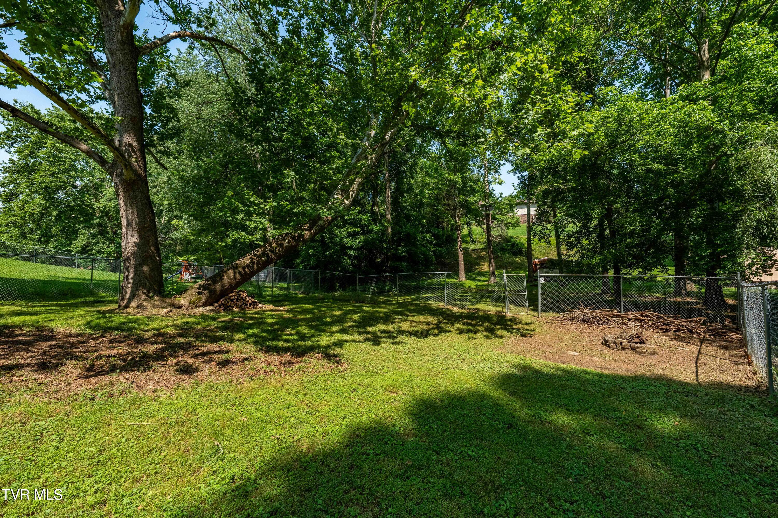 193 River Road Bluff City, TN 37618 - Photo 52 of 71 193 River Road (37 of 81)