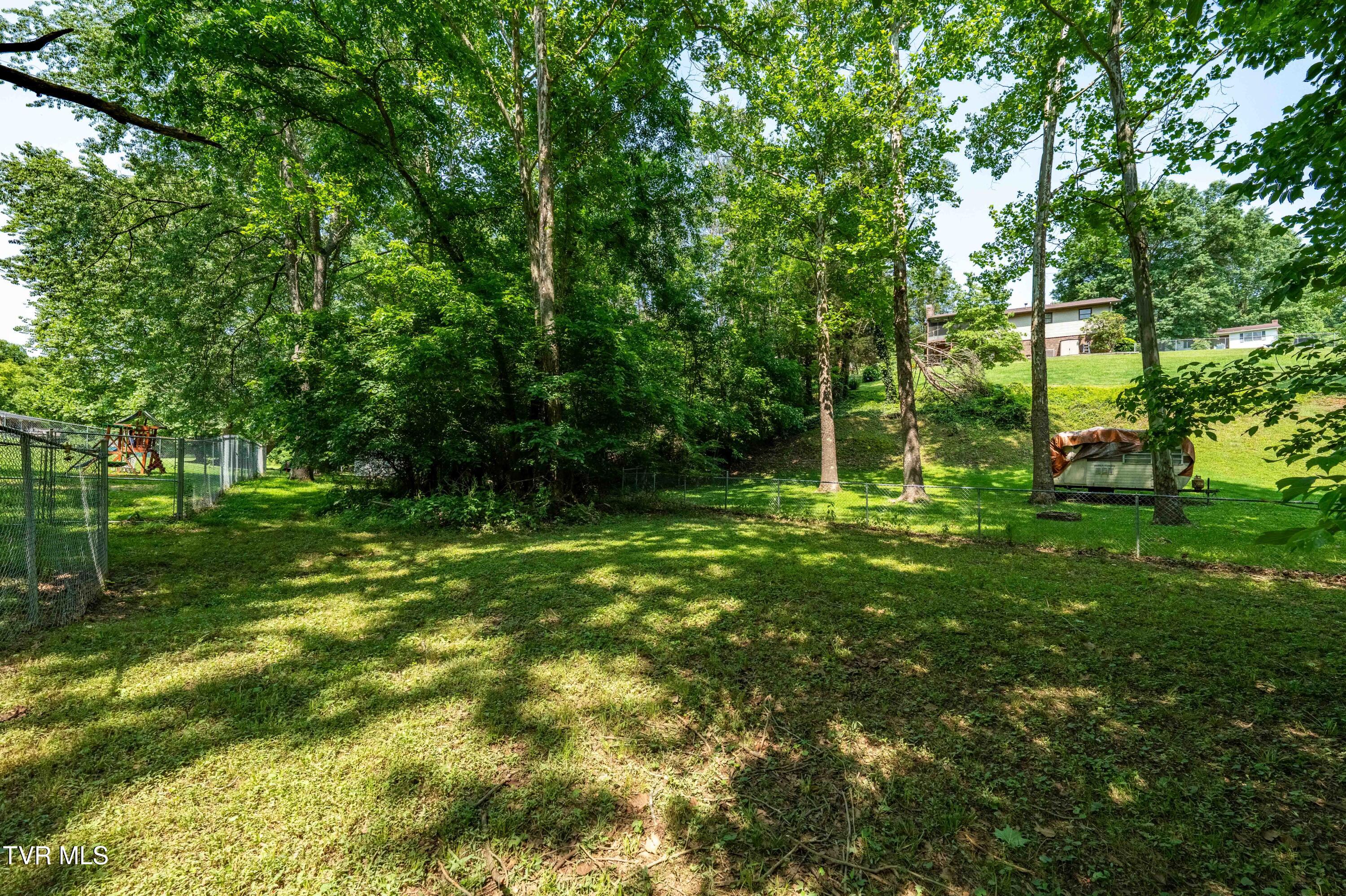 193 River Road Bluff City, TN 37618 - Photo 53 of 71 193 River Road (38 of 81)