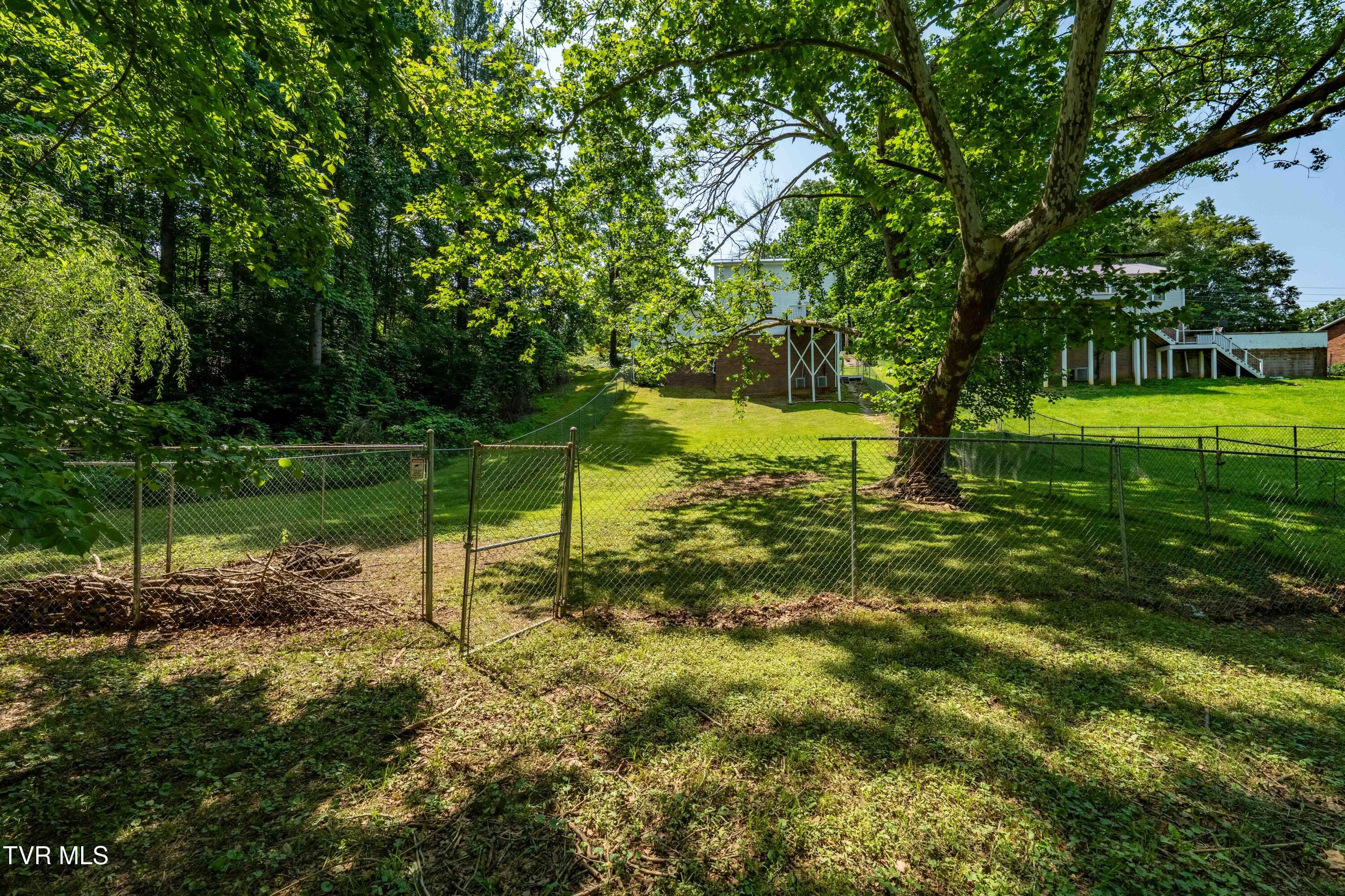 193 River Road Bluff City, TN 37618 - Photo 54 of 71 193 River Road (39 of 81)