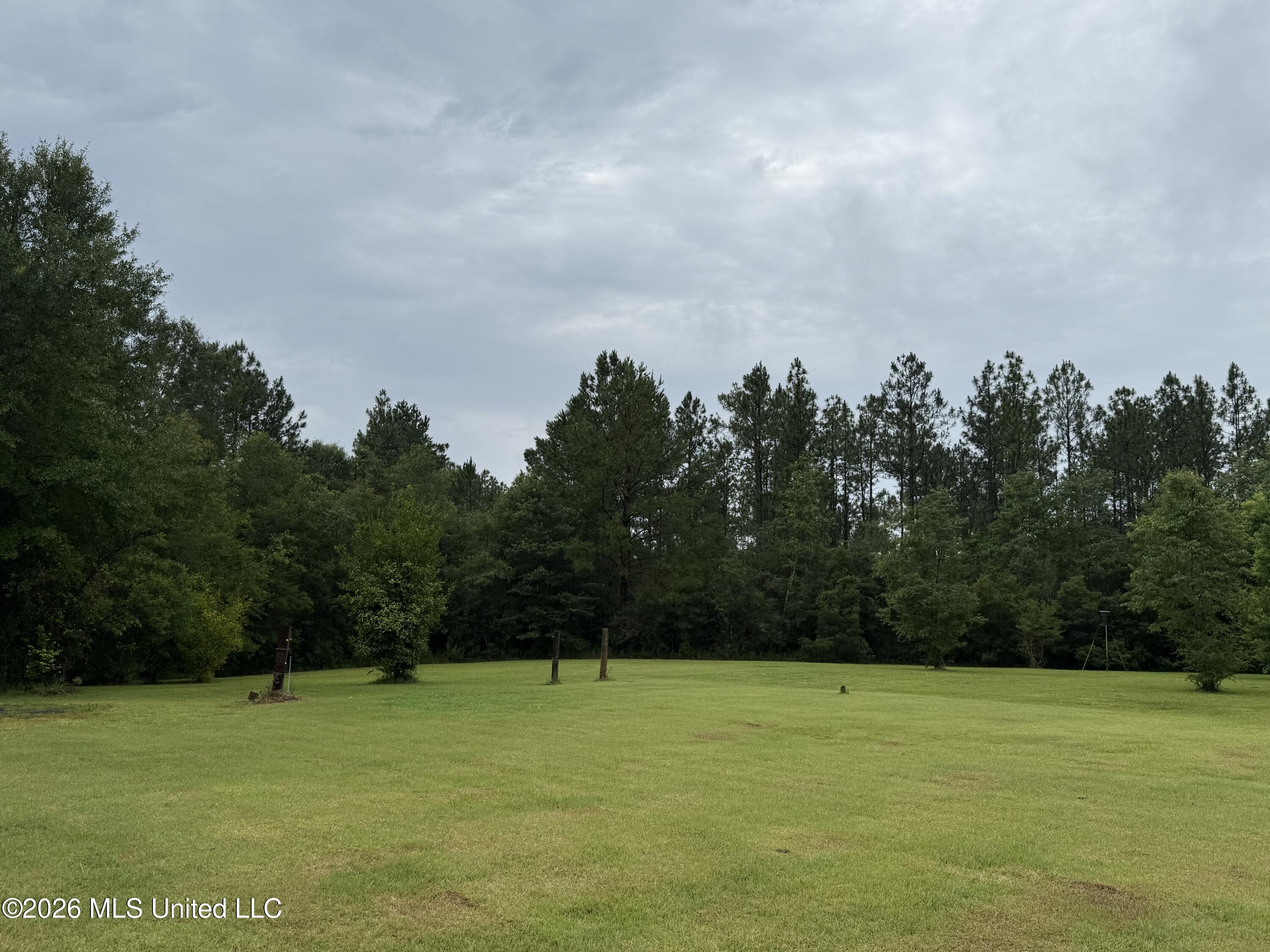 808 West McHenry Road McHenry, MS 39561 - Photo 31 of 32 Side Yard