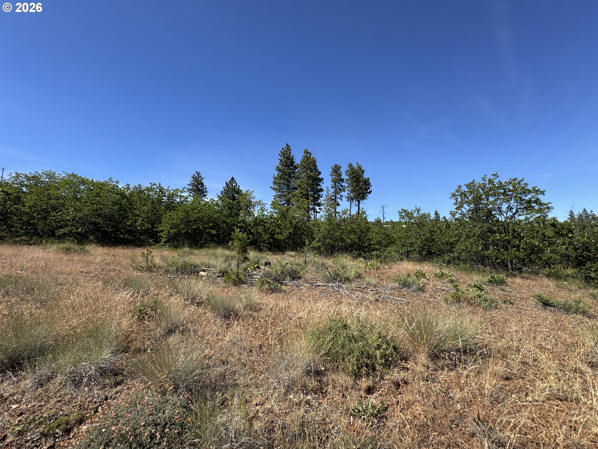 112 Timber Road Roosevelt, WA 99356 - Photo 26 of 31