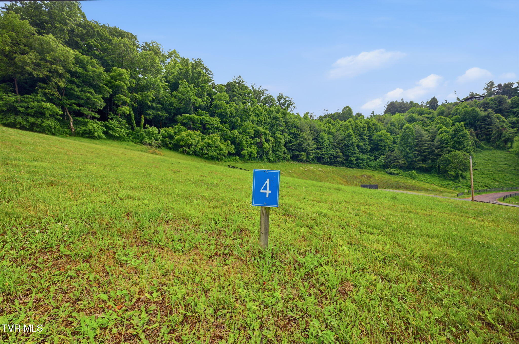 Lot 4 Eagle Rdg Parkway, Unit 4 Butler, TN 37640 - Photo 4 of 16 16-web-or-mls-EXT_9124 (1)