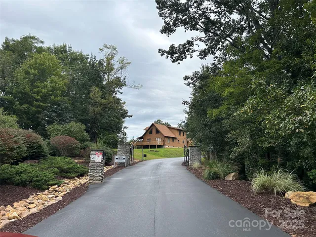 a view of a street with a large trees