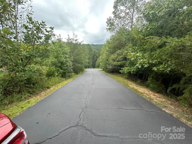 a view of a pathway both side of yard