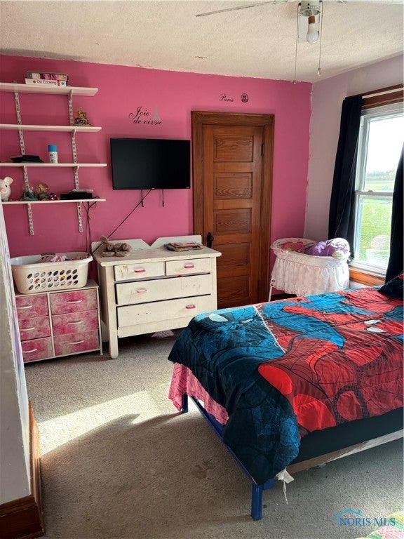 5438 Seaman Road Oregon, OH 43616 - Photo 22 of 32 3rd bedroom w/ walk-in closet