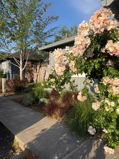 $1,499,999 | 754-756 West Spain Street, Sonoma, CA 95476
