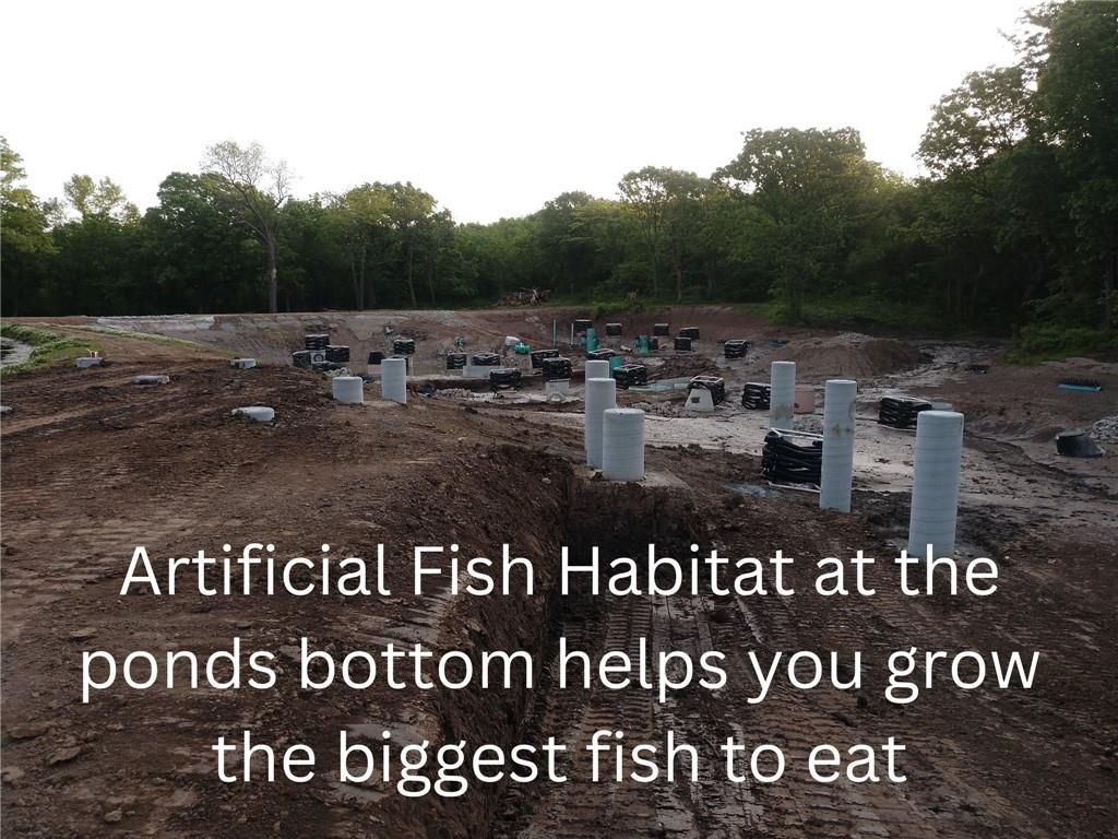 6205 Chiles Road Blue Springs, MO 64014 - Photo 10 of 48