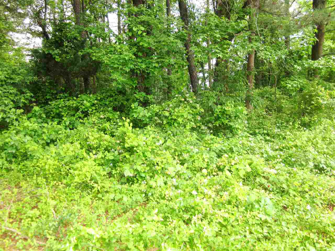 2504 Optimist Farm Road Apex, NC 27539 - Photo 4 of 8 Photo 4