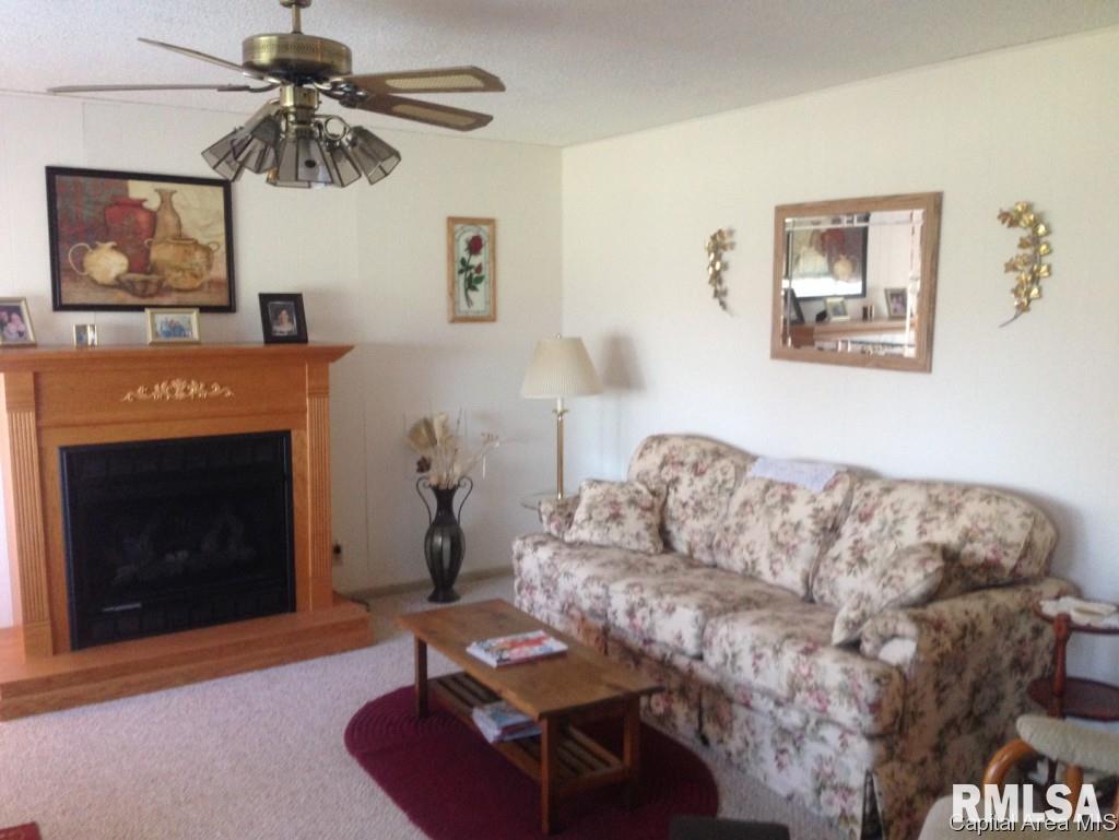 2620 East 1900 North Road Moweaqua, IL 62550 - Photo 2 of 6 Gallery Image 2