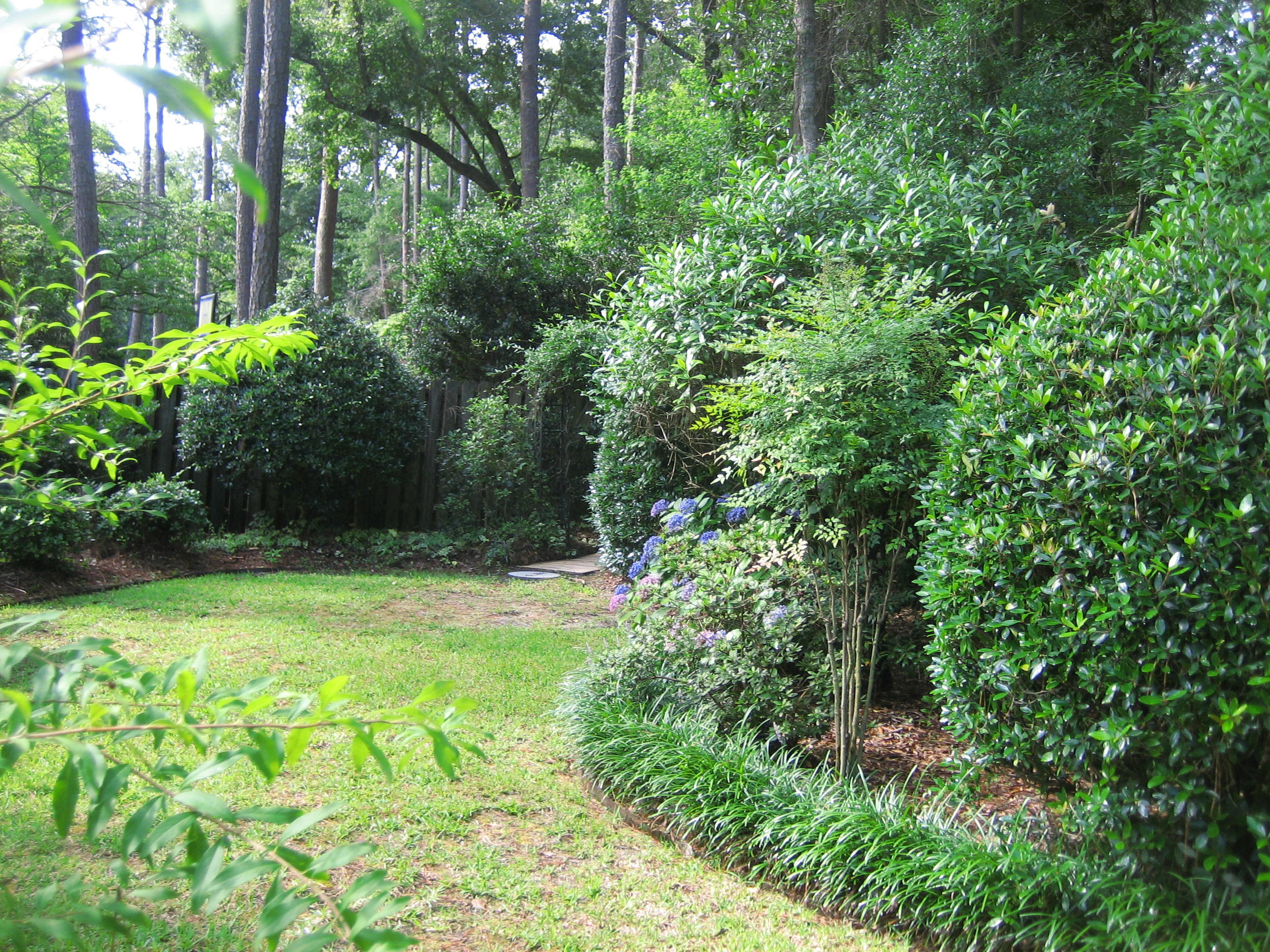 109 Silverhill Road Walterboro, SC 29488 - Photo 13 of 93 2018 06 22 018