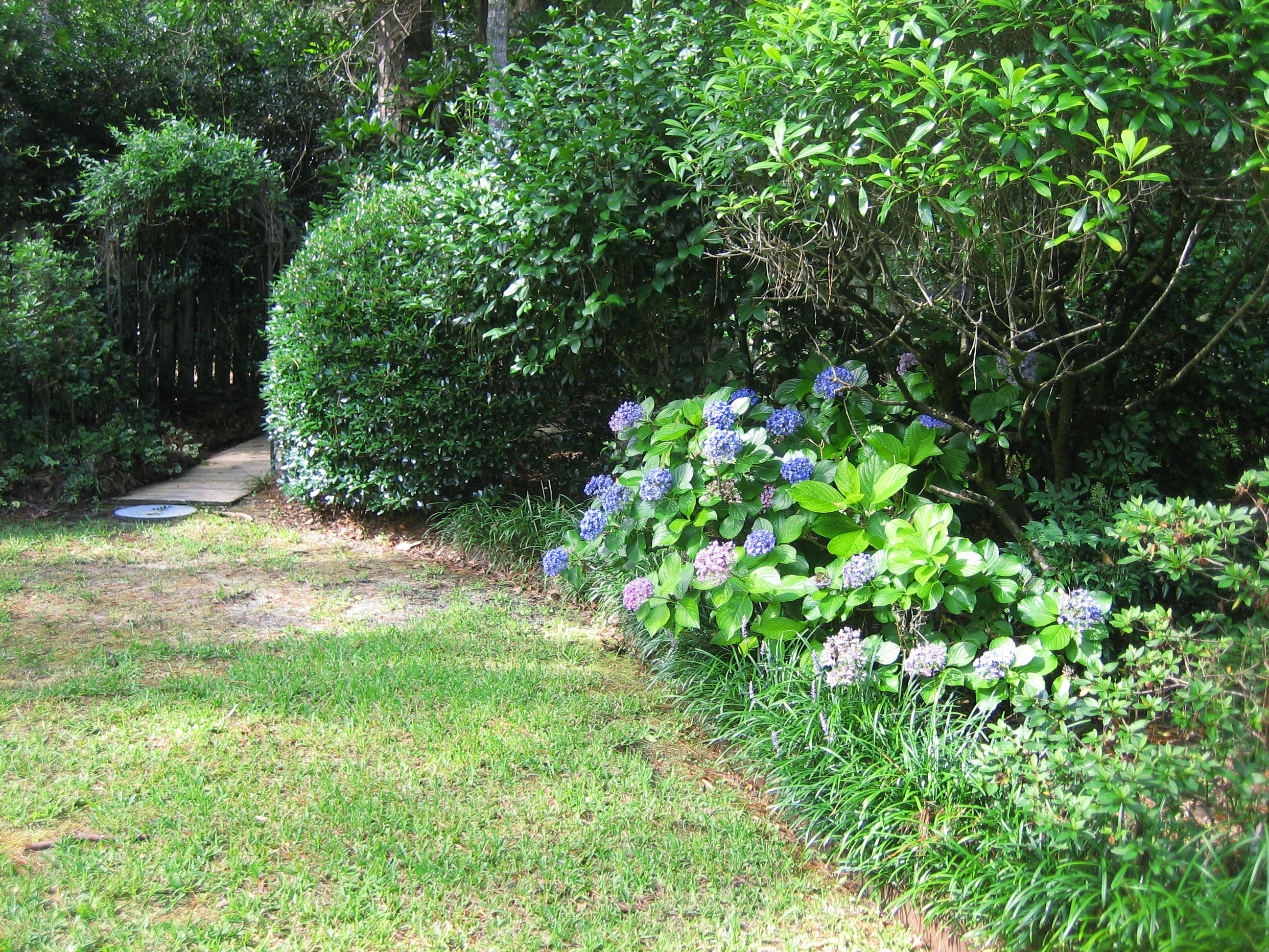 109 Silverhill Road Walterboro, SC 29488 - Photo 14 of 93 2018 06 22 019