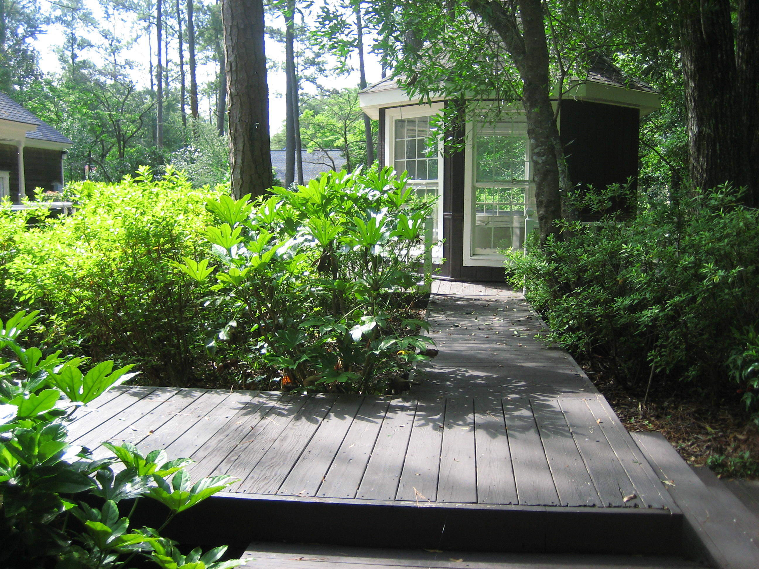 109 Silverhill Road Walterboro, SC 29488 - Photo 23 of 93 2018 06 22 026