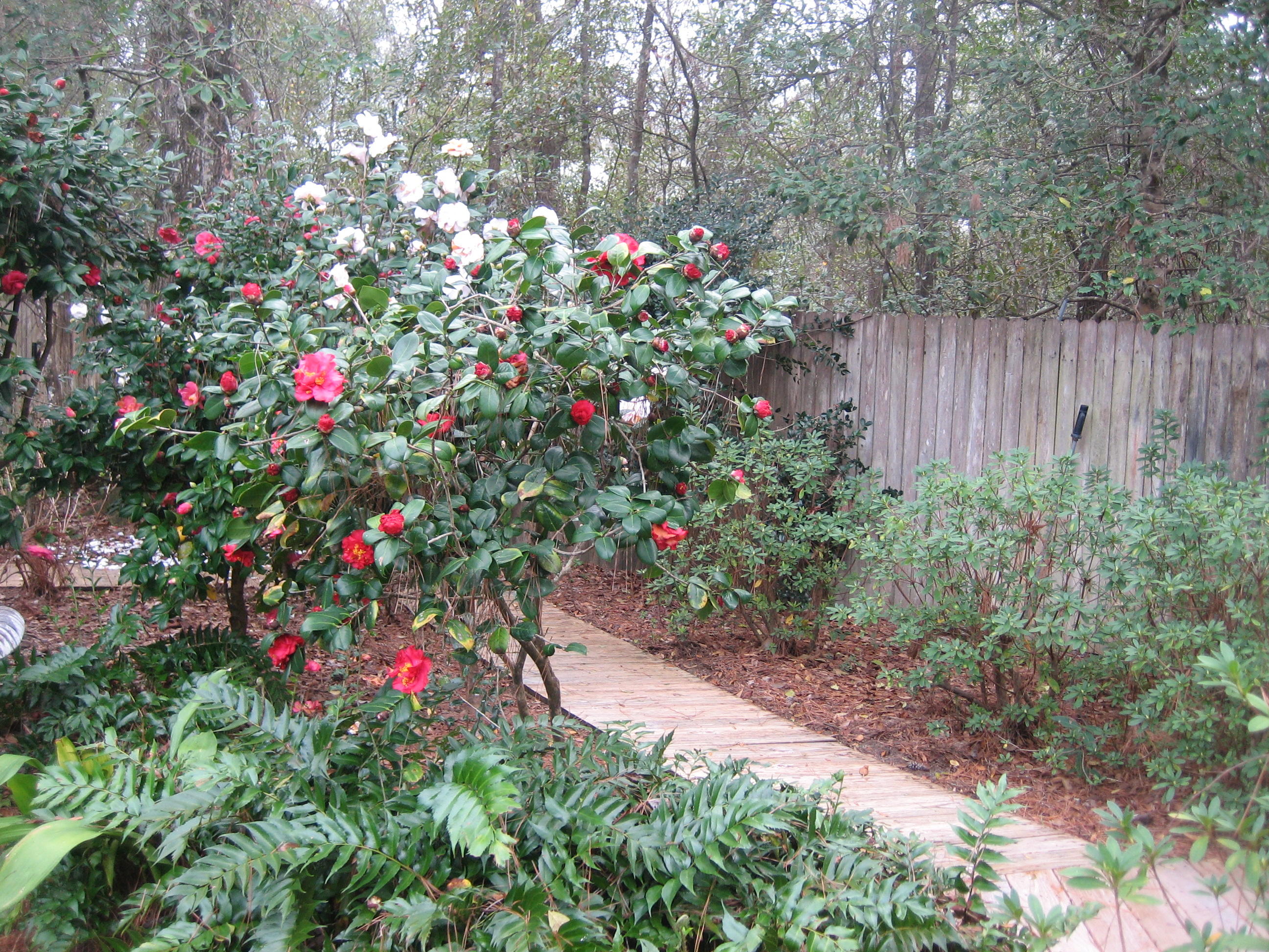 109 Silverhill Road Walterboro, SC 29488 - Photo 32 of 93 IMG_5593