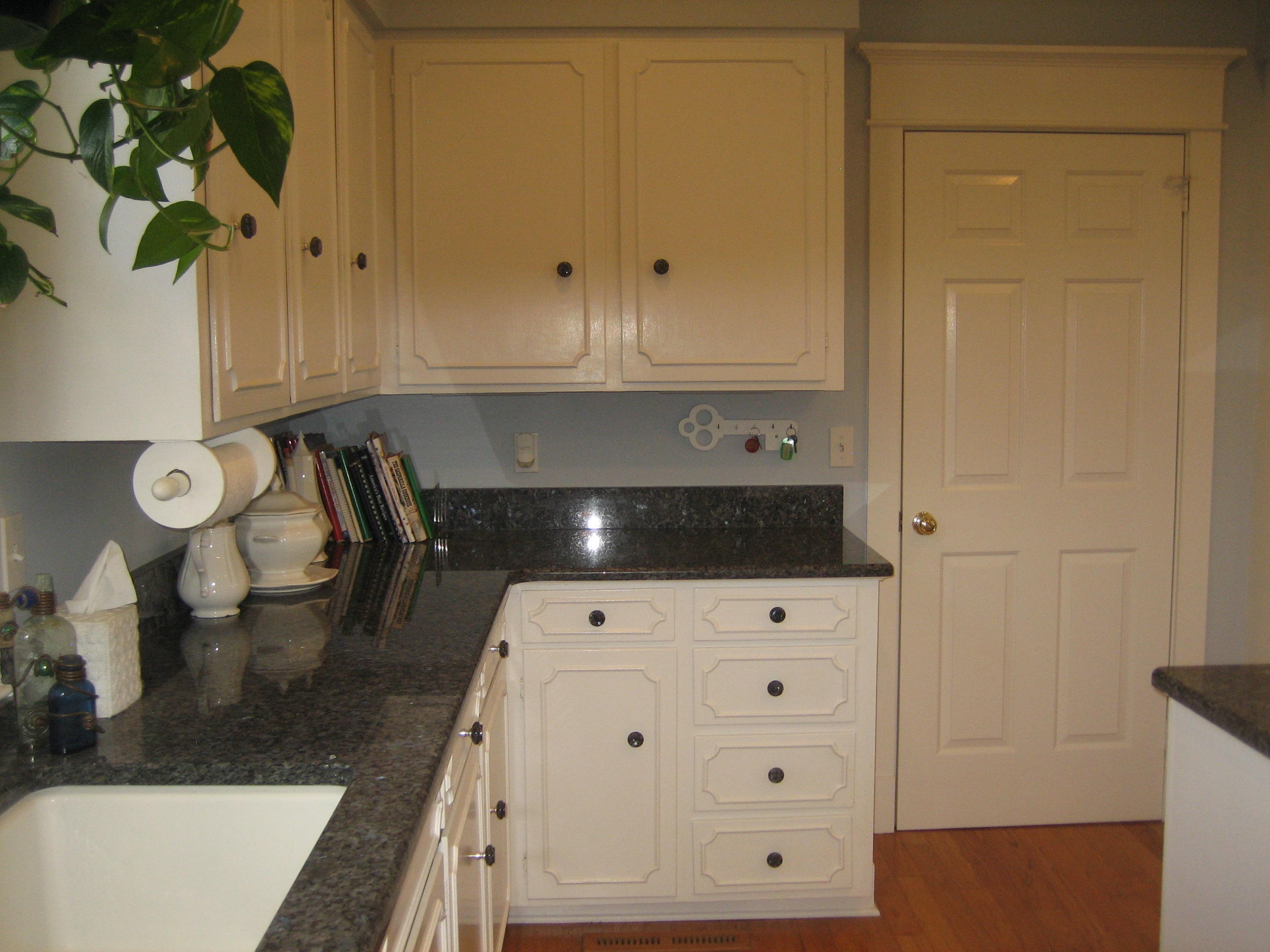 109 Silverhill Road Walterboro, SC 29488 - Photo 45 of 93 IMG_5689