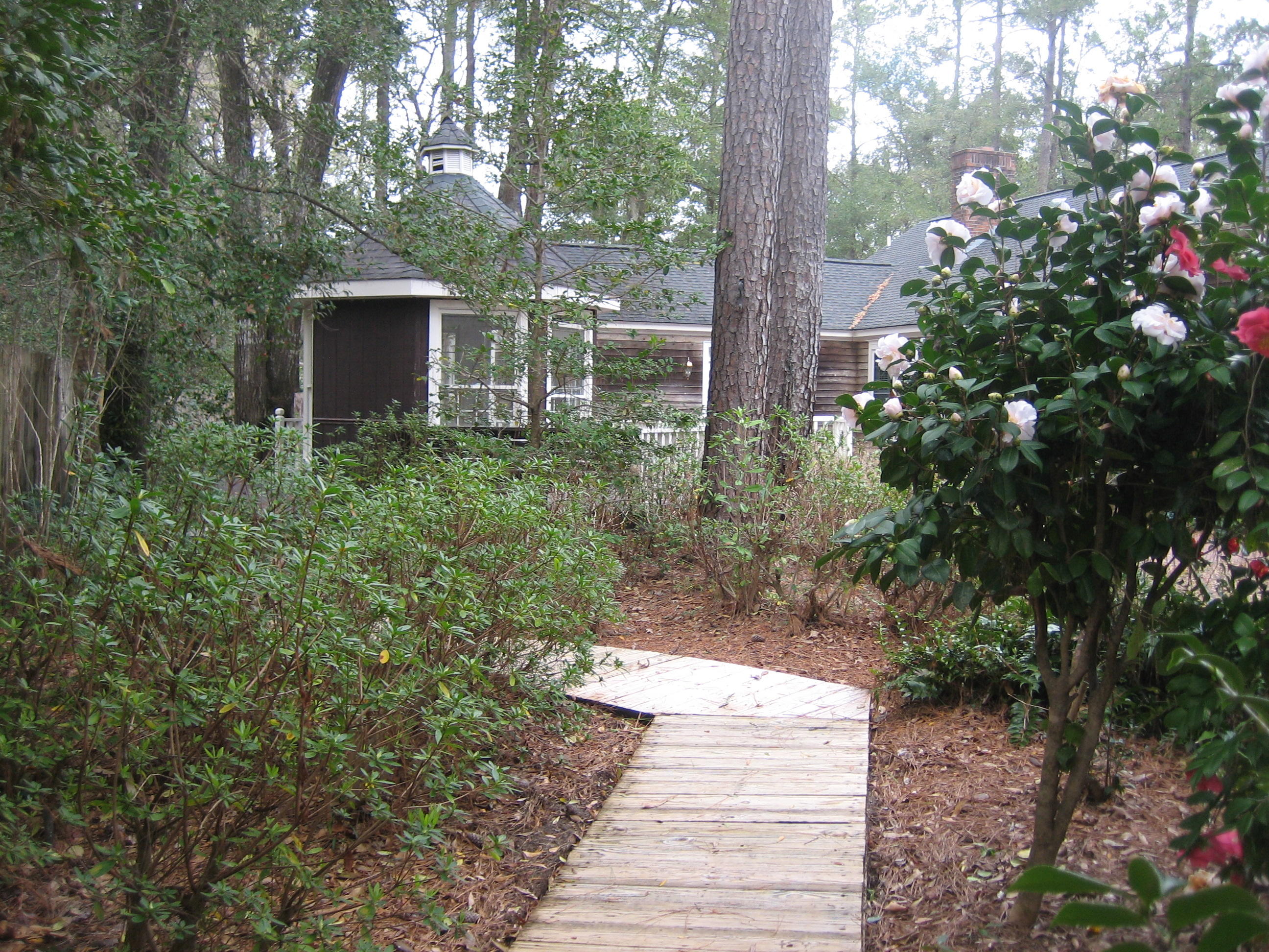 109 Silverhill Road Walterboro, SC 29488 - Photo 72 of 93 IMG_5599
