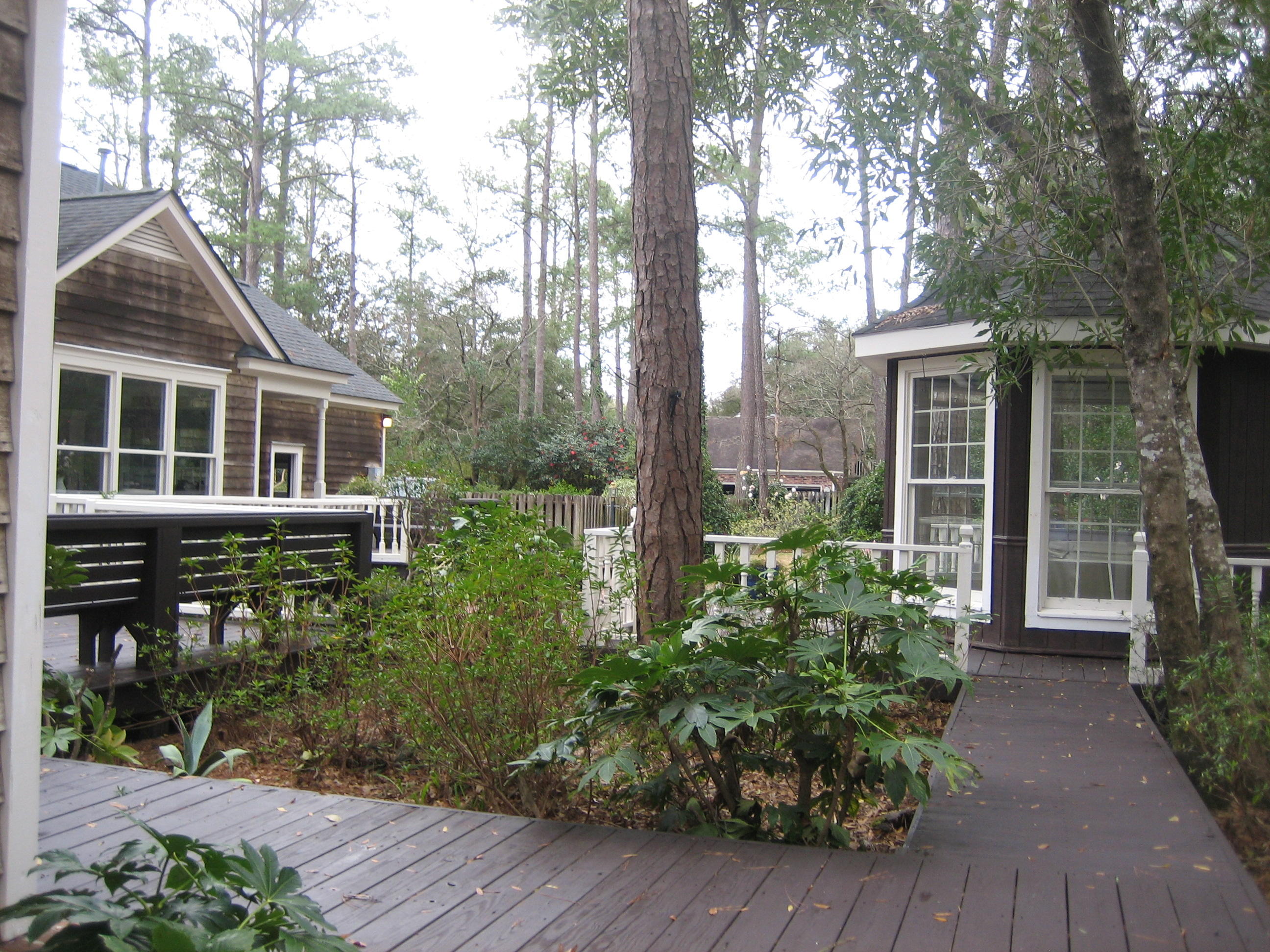 109 Silverhill Road Walterboro, SC 29488 - Photo 79 of 93 IMG_5609