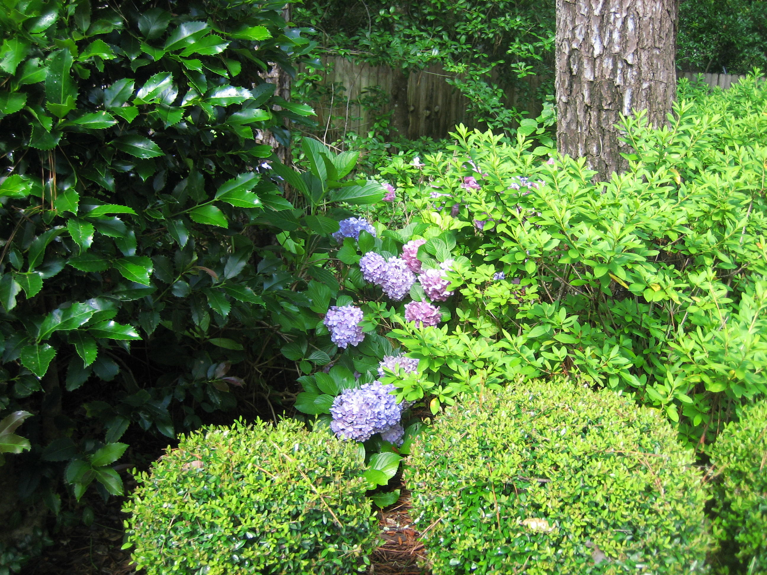 109 Silverhill Road Walterboro, SC 29488 - Photo 9 of 93 2018 06 22 013