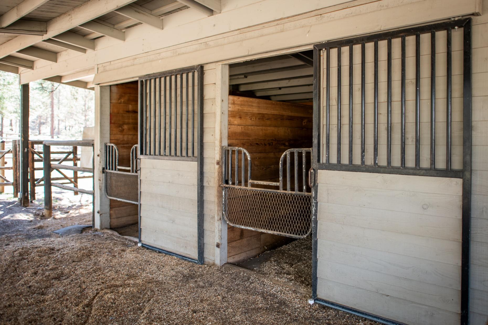60216 East Ridgeview Drive Bend, OR 97702 - Photo 46 of 53 batch_40Barn stallsRidgeview-55