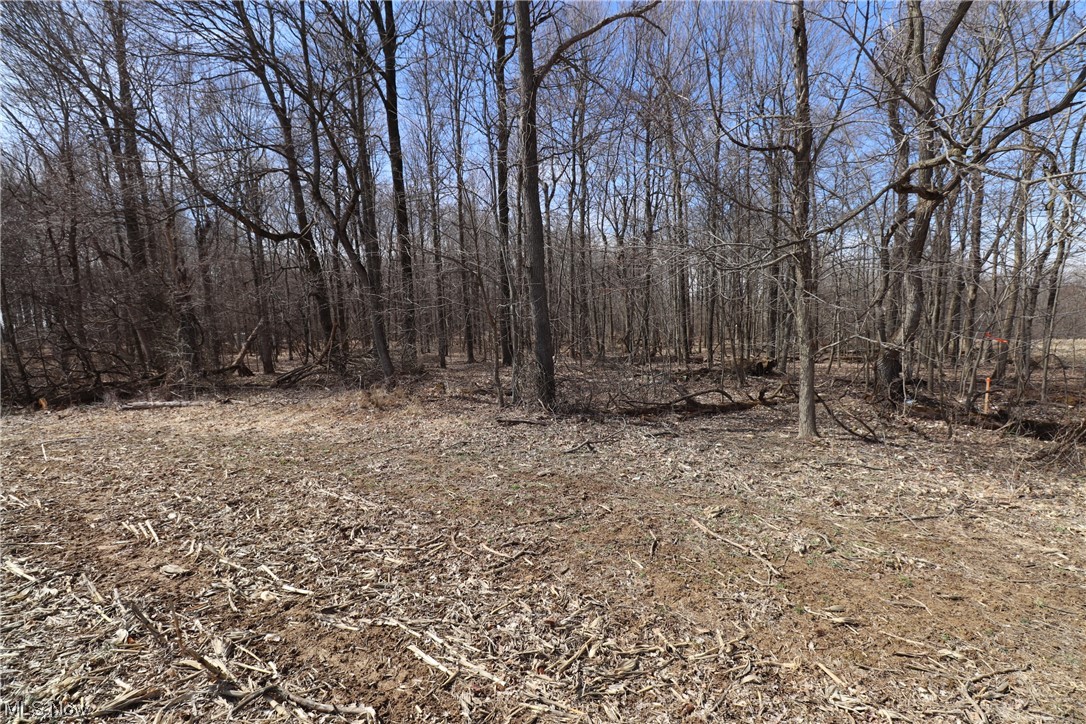 7 New Delaware Road Mount Vernon, OH 43050 - Photo 11 of 13 Gallery Image 11