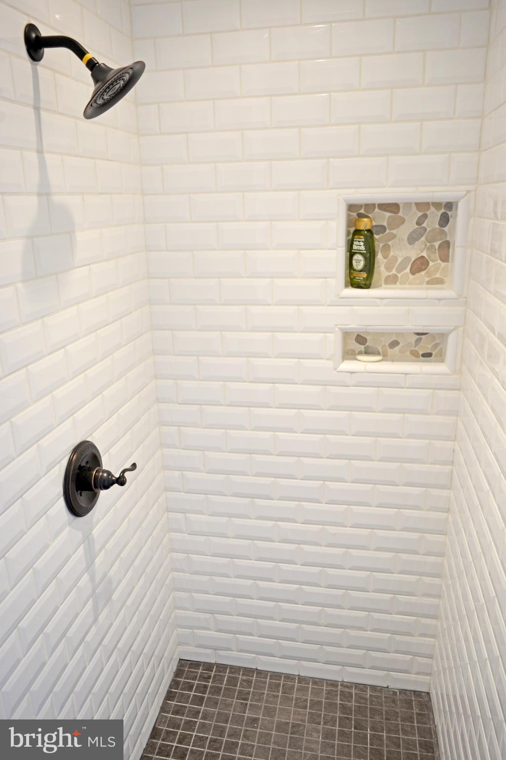 102 Rhett Court Elkton, MD 21921 - Photo 17 of 25 Master Bathroom with Tiled Shower