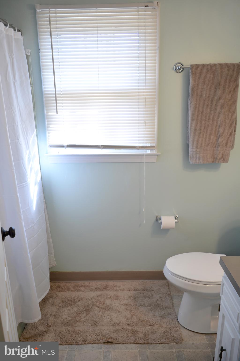 102 Rhett Court Elkton, MD 21921 - Photo 22 of 25 Hall Bathroom
