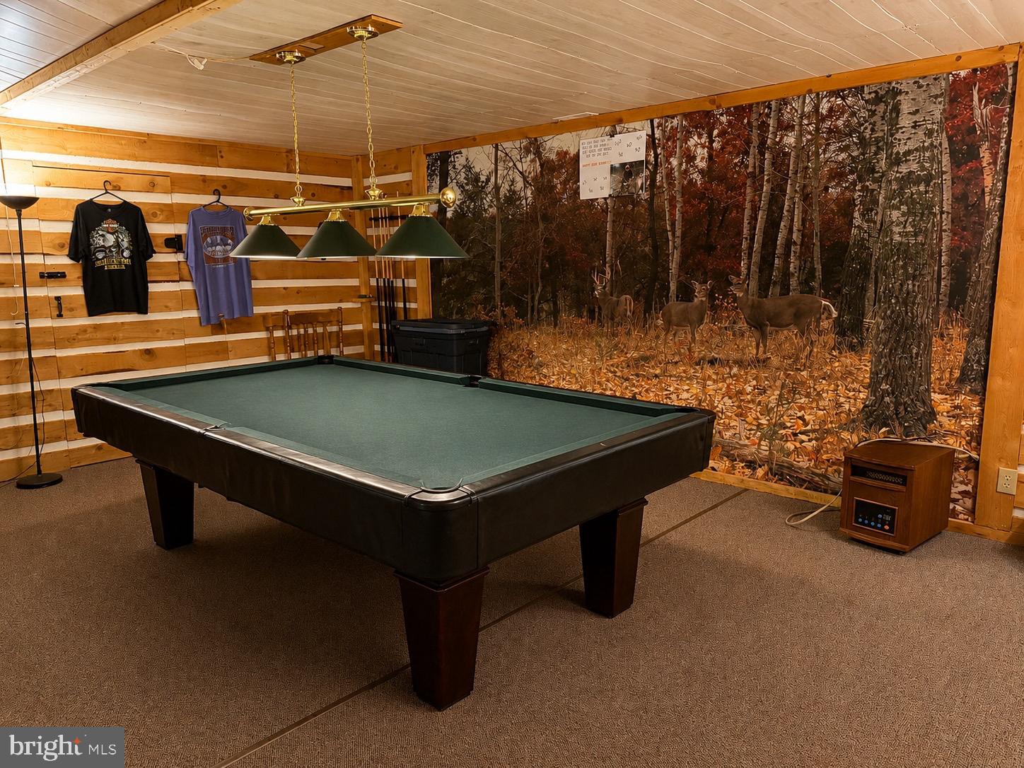 4242 Camp Reed Lane Petersburg, PA 16669 - Photo 58 of 83 game room pool table conveys