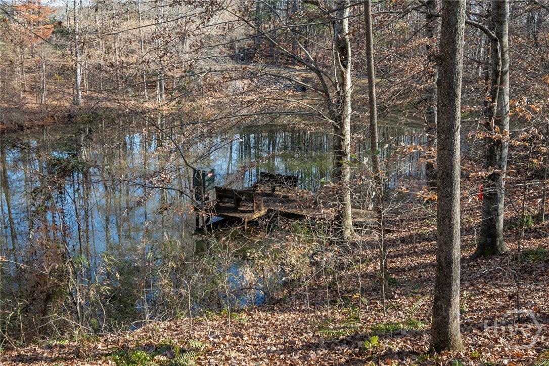 2191 Salem Road Watkinsville, GA 30677 - Photo 4 of 68 Pond with dock
