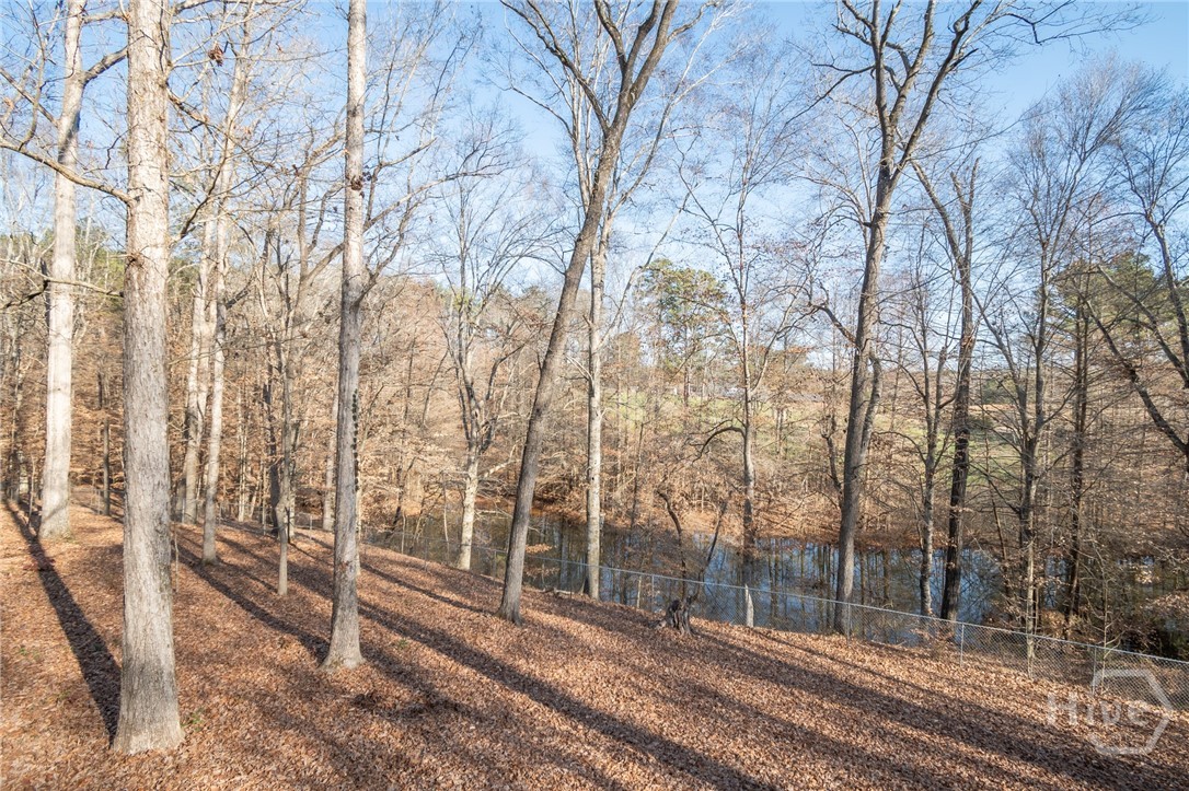 2191 Salem Road Watkinsville, GA 30677 - Photo 59 of 68