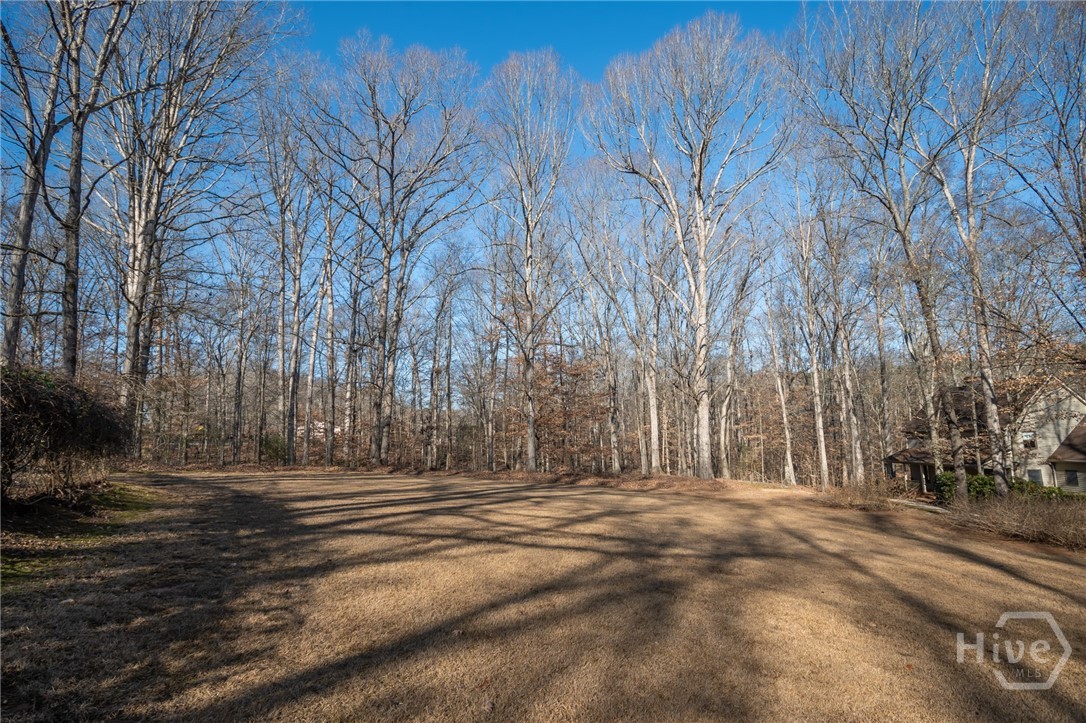 2191 Salem Road Watkinsville, GA 30677 - Photo 68 of 68