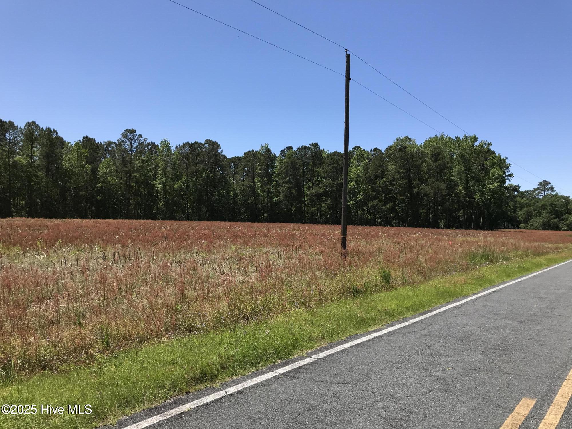 5530 Little Prong Road Northwest Ash, NC 28420 - Photo 4 of 4 ERS Investments Lot 10-Pic 4