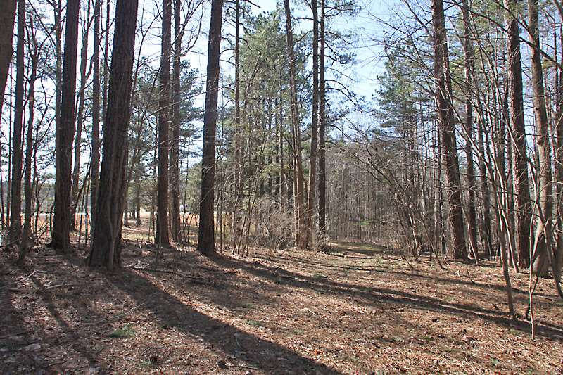 3040 Banks Road Raleigh, NC 27603 - Photo 9 of 13 Photo 9