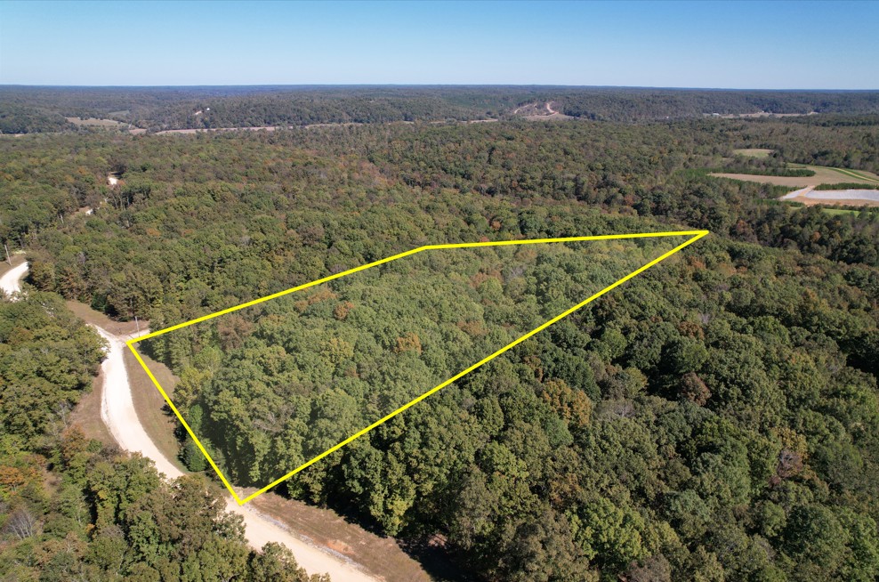 21 Three Rivers Drive Hurricane Mills, TN 37078 - Photo 5 of 6