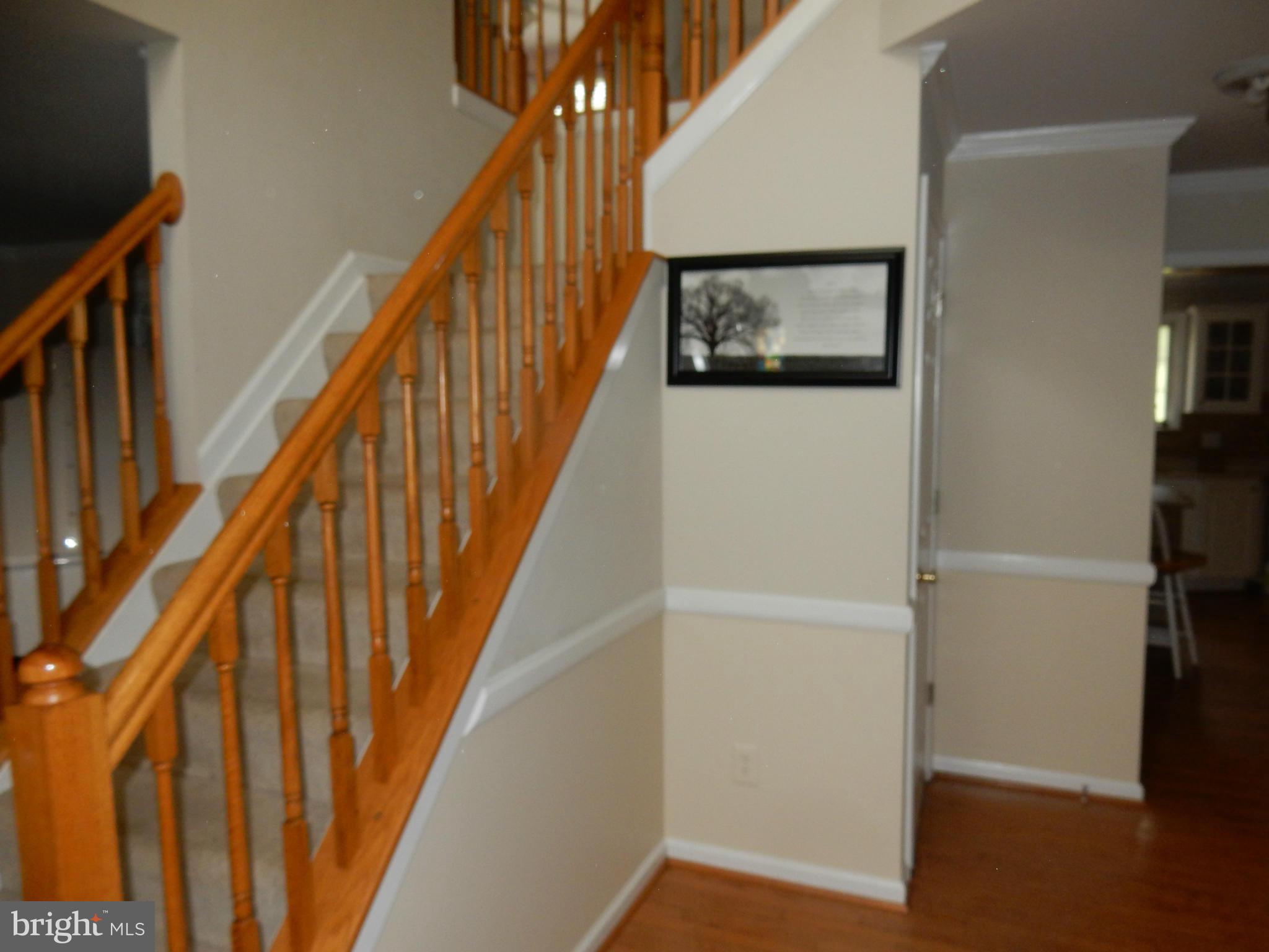 725 Rosewood Road Severn, MD 21144 - Photo 25 of 29 Nice Open Entry