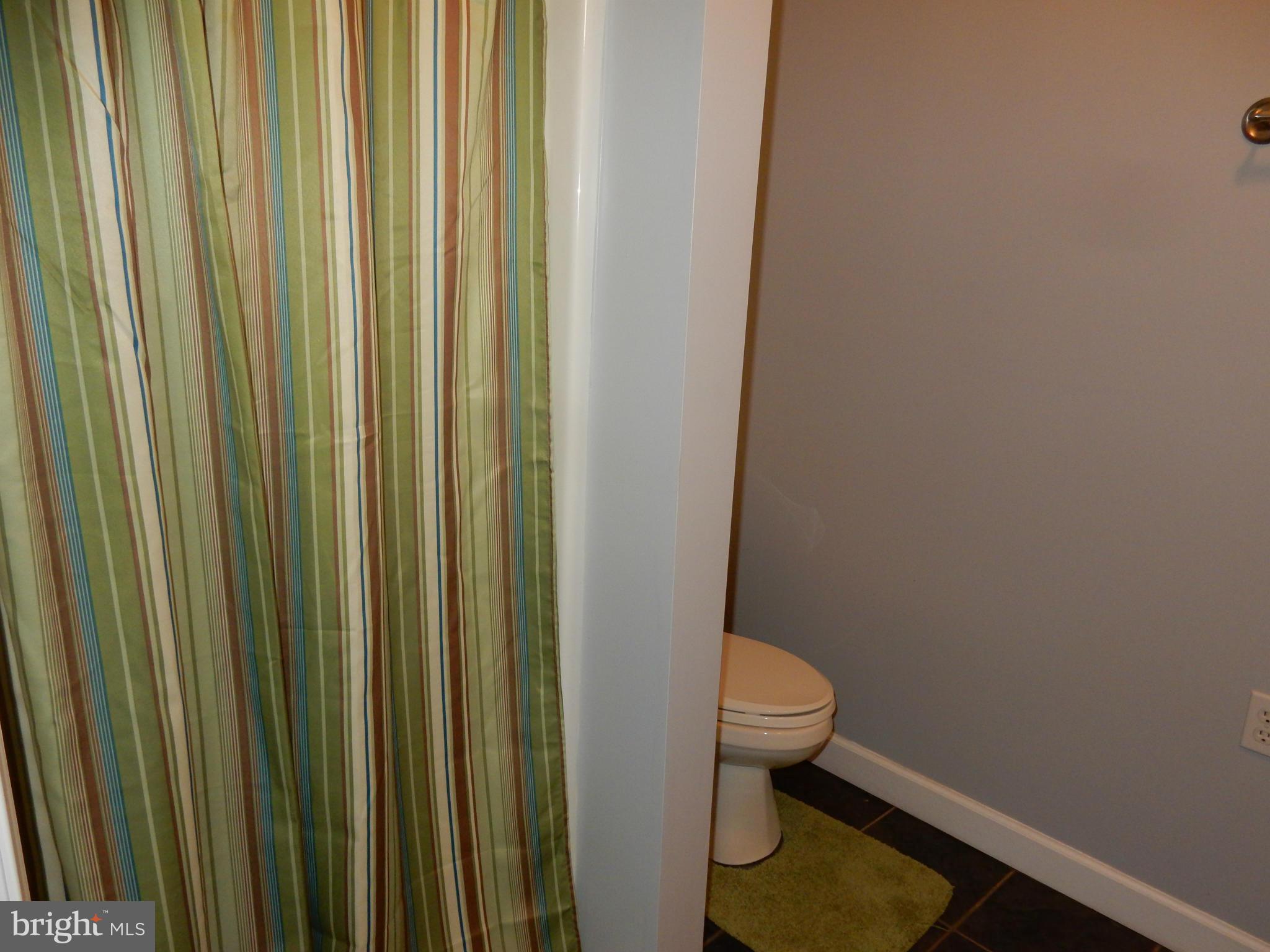 725 Rosewood Road Severn, MD 21144 - Photo 10 of 29 Bsmt shower Bath
