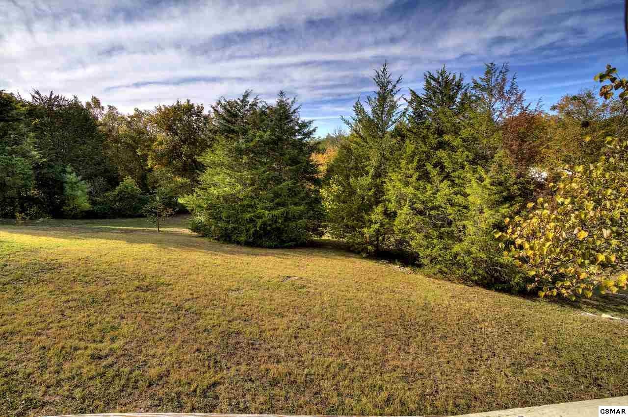 1505 Parrotts Chapel Road Sevierville, TN 37876 - Photo 3 of 36