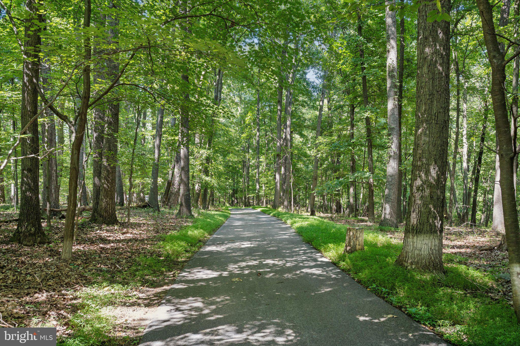 4840 Buffalo Road Mount Airy, MD 21771 - Photo 107 of 112 Driveway