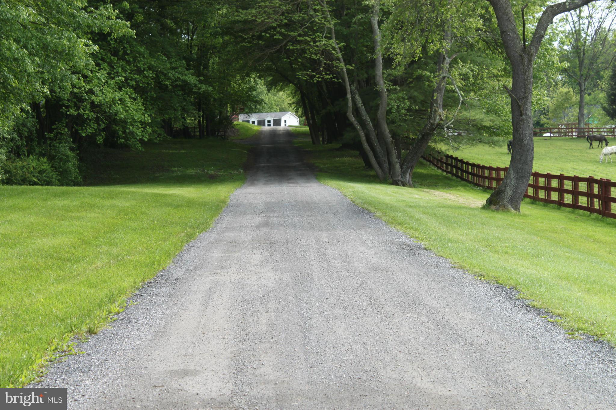 11975 Frederick Road Ellicott City, MD 21042 - Photo 2 of 23 Entrance