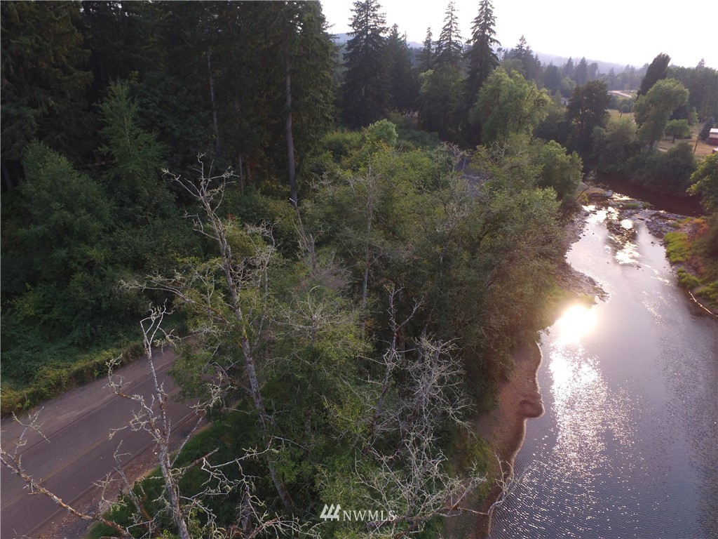 0 River Road North Chehalis, WA 98532 - Photo 3 of 7