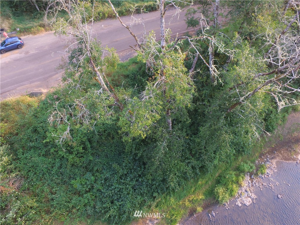 0 River Road North Chehalis, WA 98532 - Photo 4 of 7