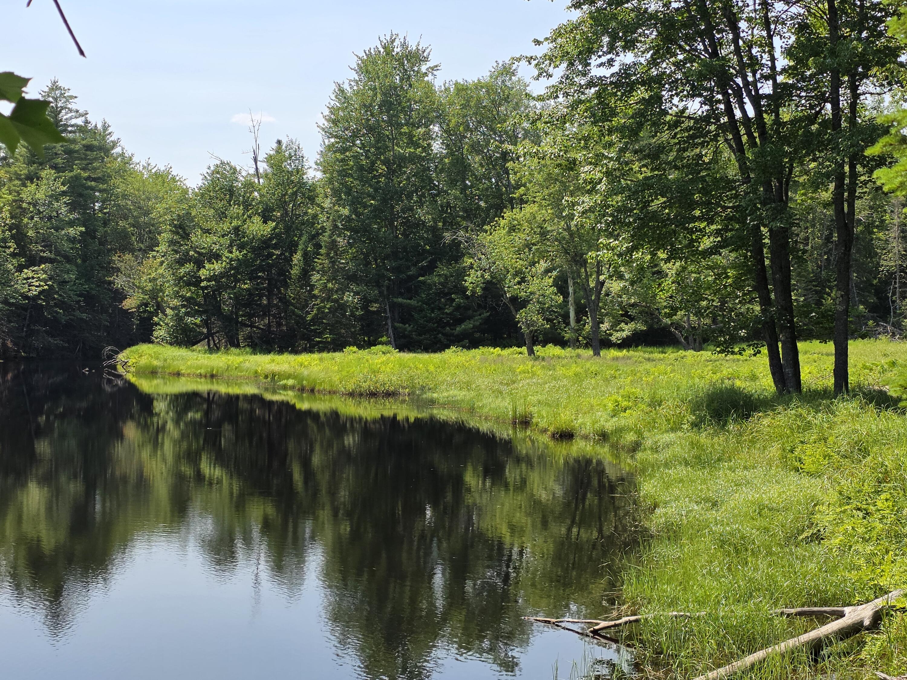 0 Brown Road Searsmont, ME 04973 - Photo 1 of 14 1000033544