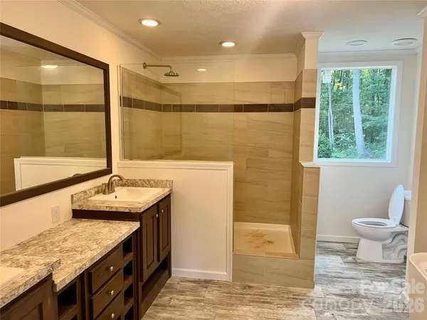 a bathroom with a granite countertop sink a toilet and shower