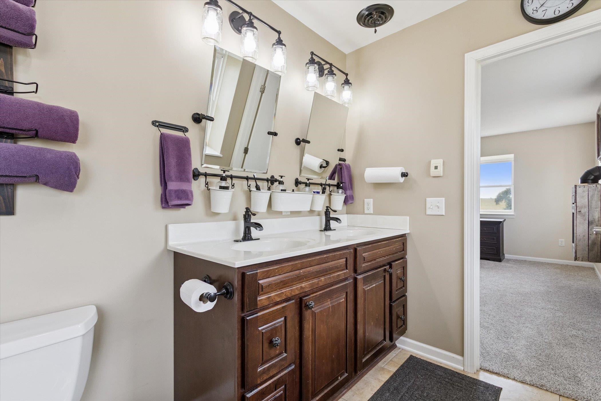 8548 East Edwardsville Road German Valley, IL 61039 - Photo 44 of 70 a bathroom with a sink a toilet and a mirror