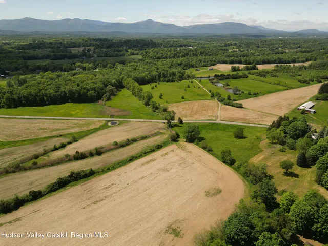an aerial view of green landscape with trees houses and mountain view