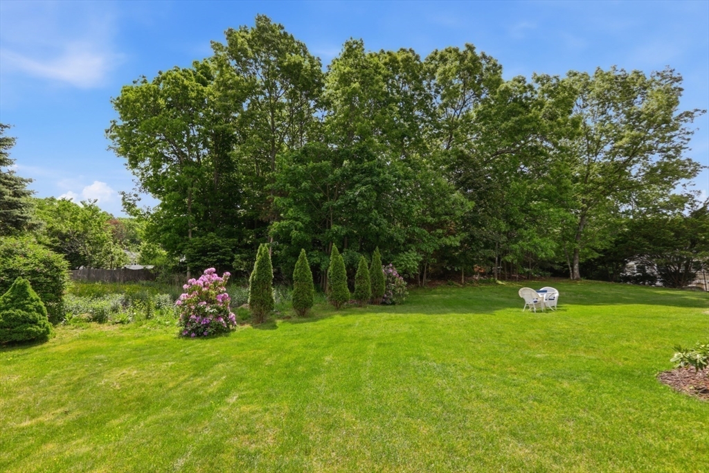 94 Johnson Road Winchester, MA 01890 - Photo 34 of 40 a view of a park with large trees