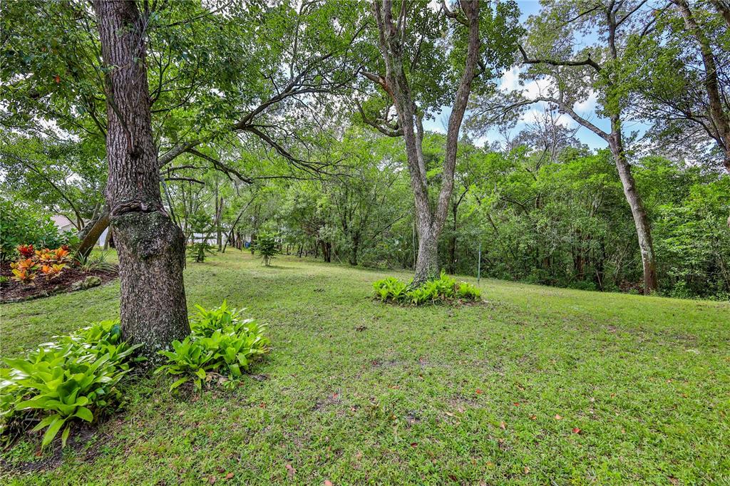8480 Colma Street Spring Hill, FL 34606 - Photo 58 of 70 a view of a garden with a tree
