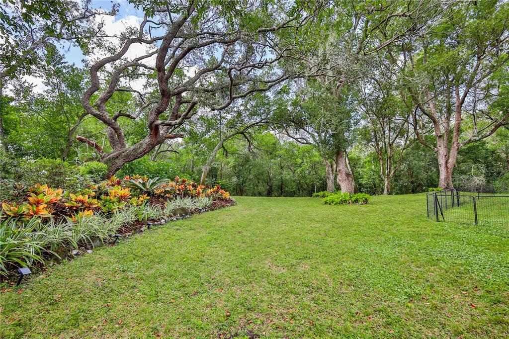 8480 Colma Street Spring Hill, FL 34606 - Photo 59 of 70