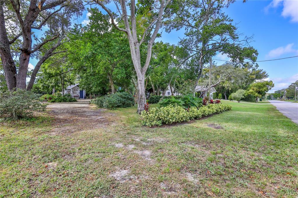 8480 Colma Street Spring Hill, FL 34606 - Photo 68 of 70 a view of a yard with plants and trees