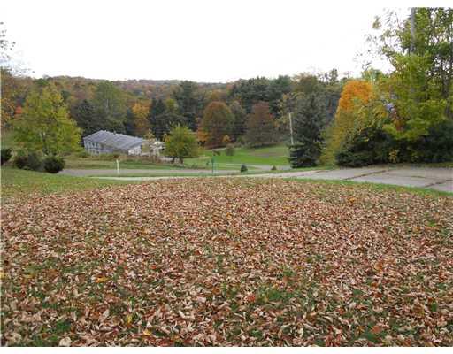 713 Sycamore Road Sewickley, PA 15143 - Photo 16 of 16 Exterior Front. nice front yard view