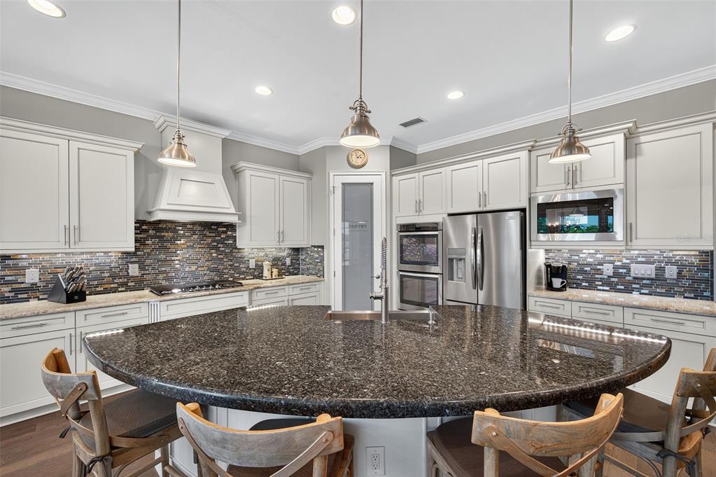 4446 Ortona Lane Wesley Chapel, FL 33543 - Photo 11 of 99